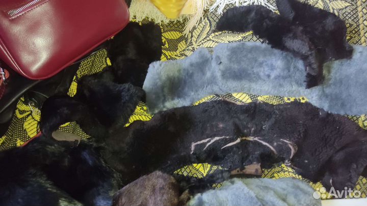 Воротник, шкурки СССР