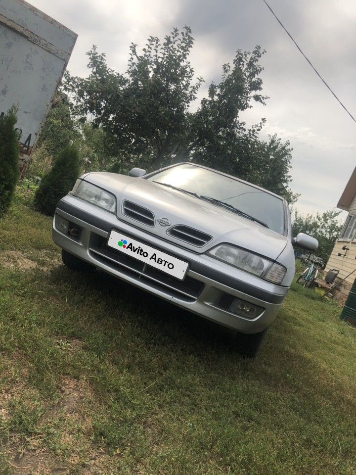 Nissan Primera: фото владельца