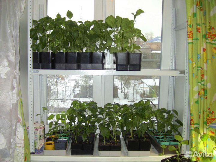 Стеллаж новый разборный металлический для рассады