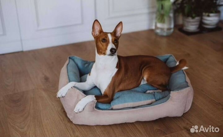 Лежанка для собак и кошек новая