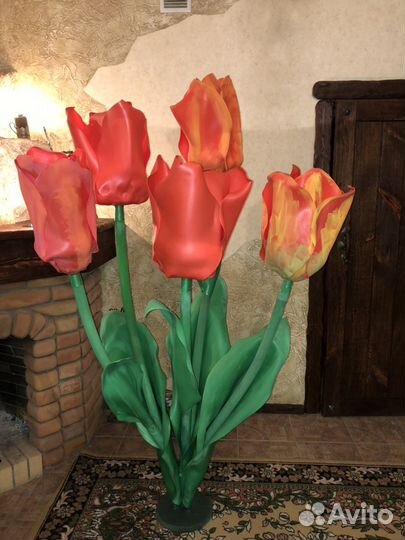 Тюльпаны ростовые