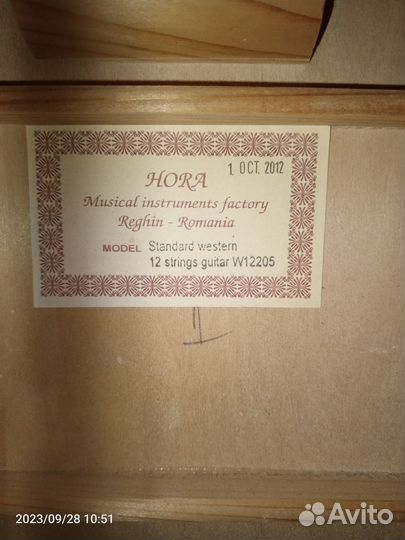 12 ти струнная гитара