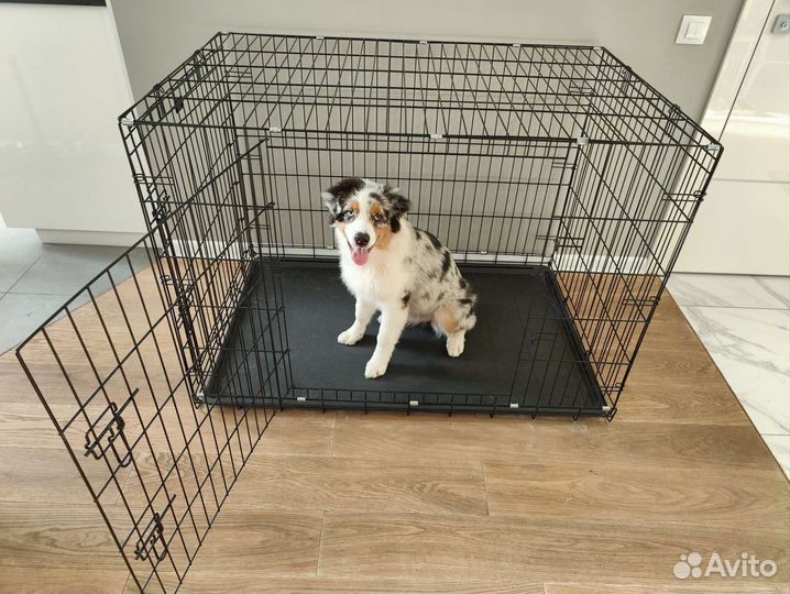 Клетка вольер для собак