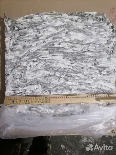 Минтай мороженый без головы