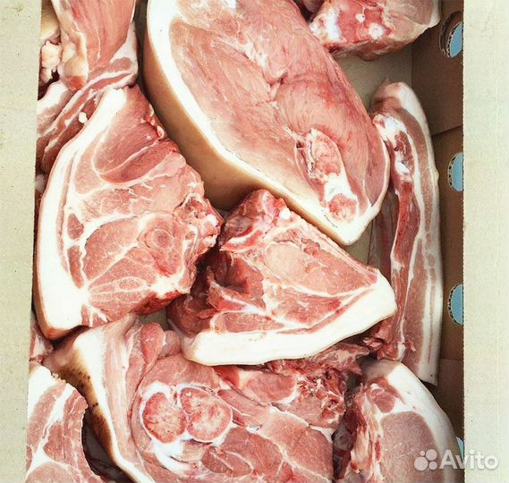 Мясо домашнее Свинина