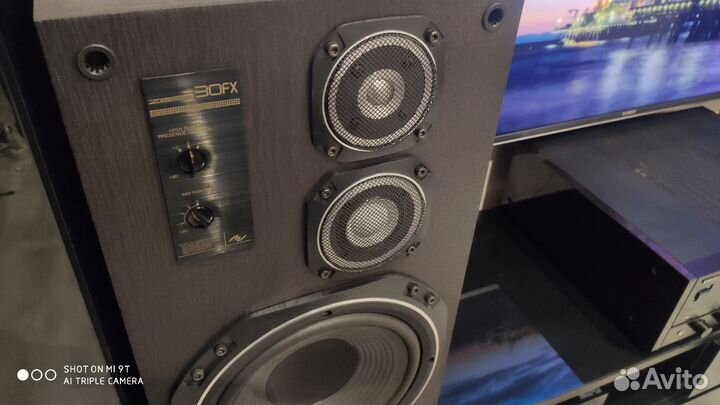 Акустическая система victor Zero 30 fx