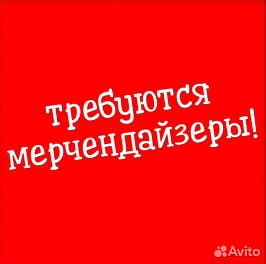 Мерчендайзер в ТЦ Южный Полюс