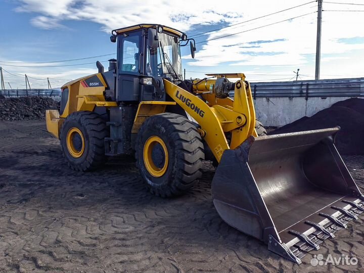 Уголь семечка