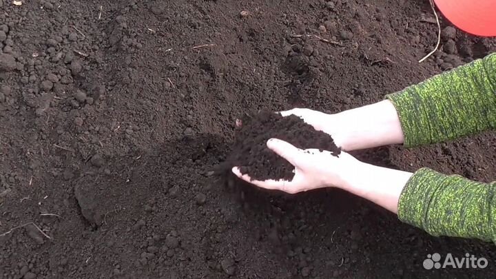 Плодородная земля, почва