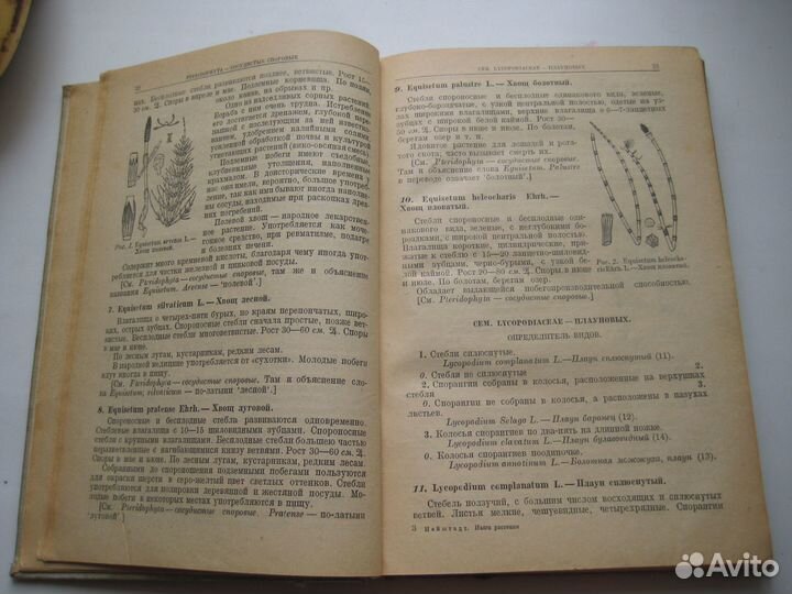 Определитель растений 1935 год антиквариат