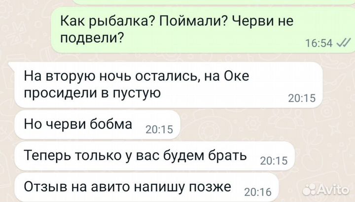 Червь выползок для рыбалки