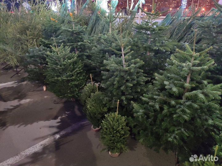 Готовая ярмарка новогодних товаров