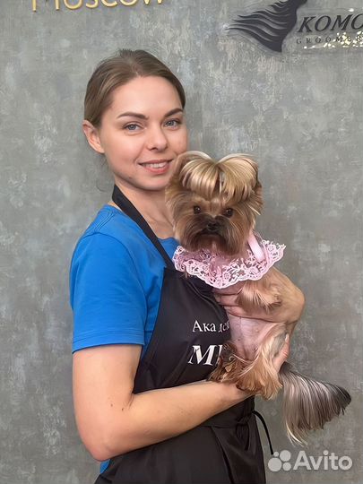 Стрижка собак. Грумер. Мичуринск