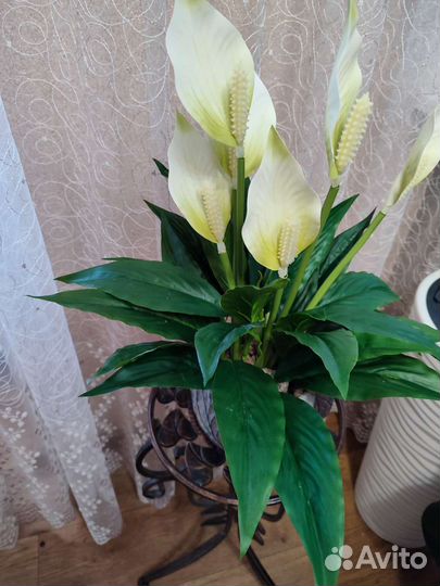 Искуственные деревья