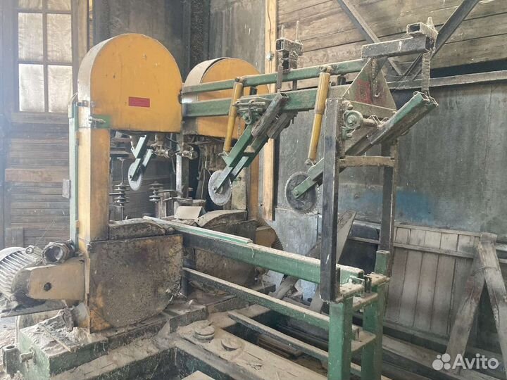 Брусовал ленточный Литва