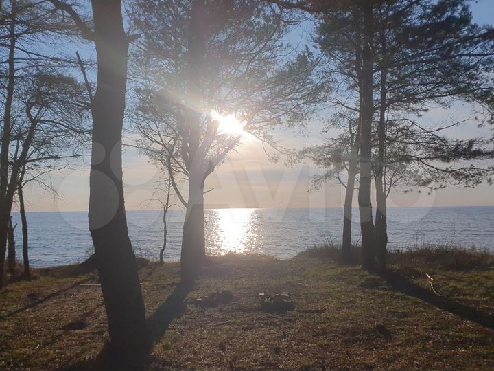 Участок 48 сот. (ИЖС)