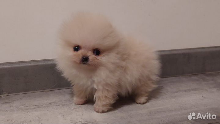 Облачко Девочка