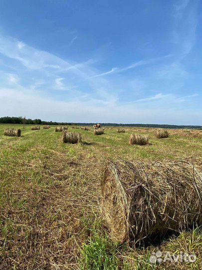 Сено в рулонах 2024