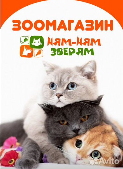 Продавец-консультант в зоомагазин