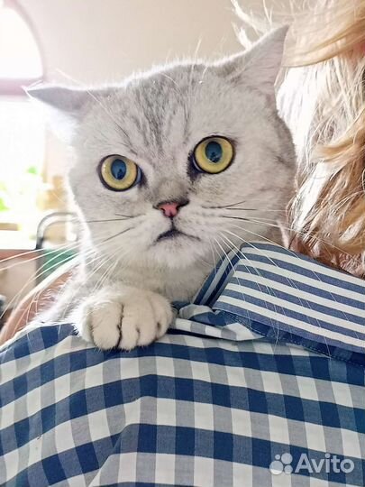 Луняша