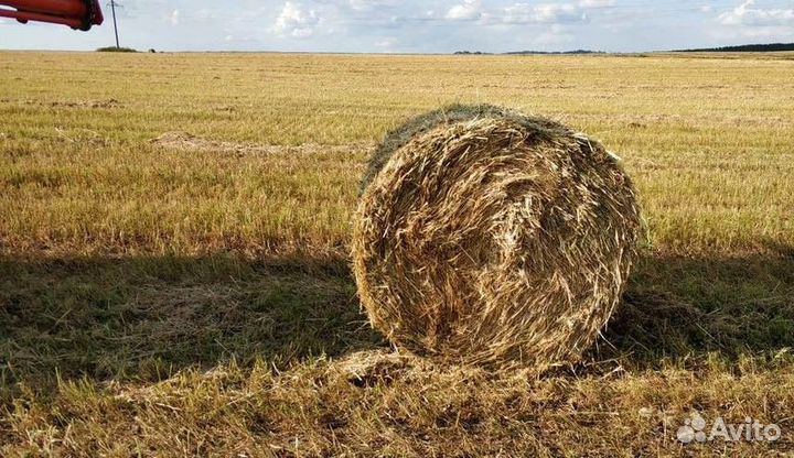 Пресс-подборщик Бежецксельмаш ПР-120, 2023