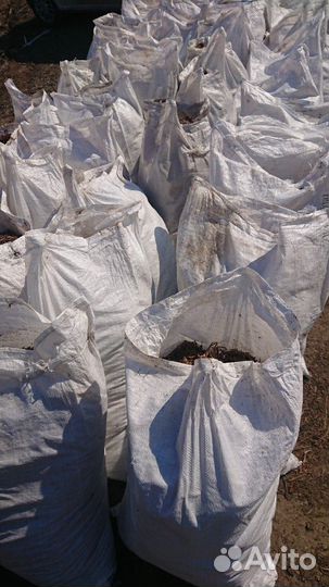 Компост из под шампиньонов