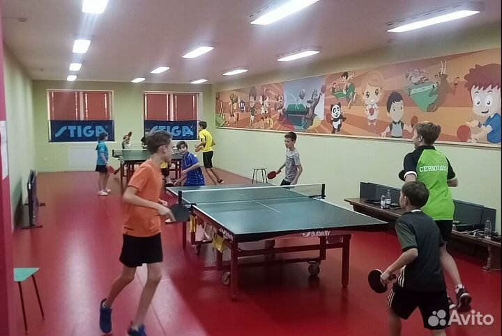 Тренер, настольный теннис, Самара, дети и взрослые