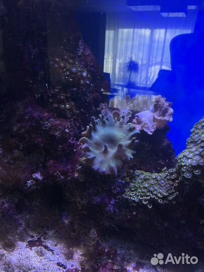 Аквариум 700 л