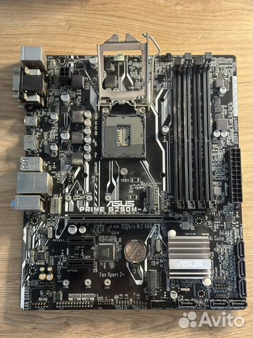 Материнская плата asus prime B250M-A купить в Калининграде ...