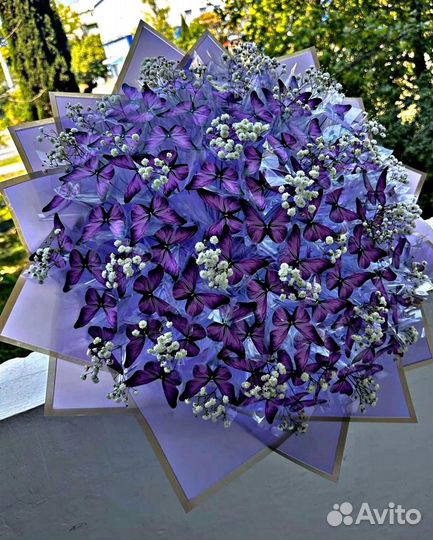 Букет из бабочек с гипсофилой