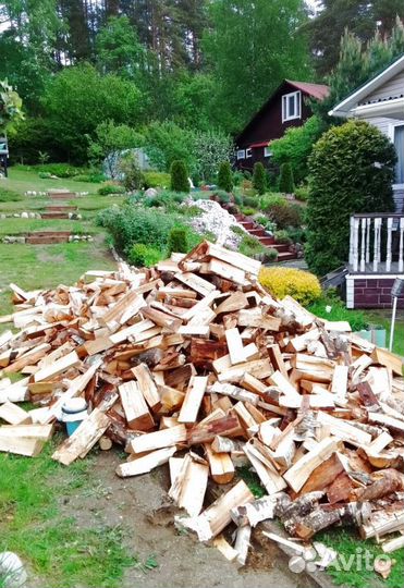 Дрова Осина навалом