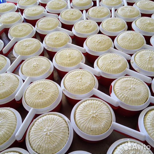 Сыр адыгейский