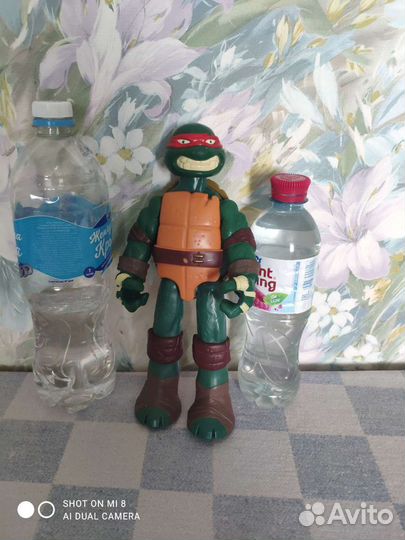 Черепашка-ниндзя