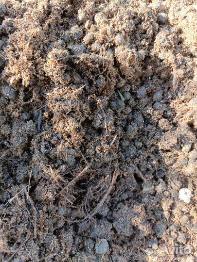 Кроличий навоз