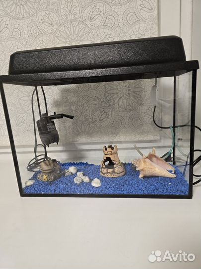 Аквариум