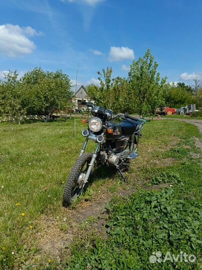 Альфа irbis virago 110