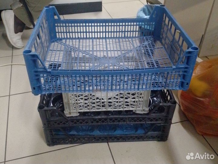 Пластиковые ящики для овощей бу