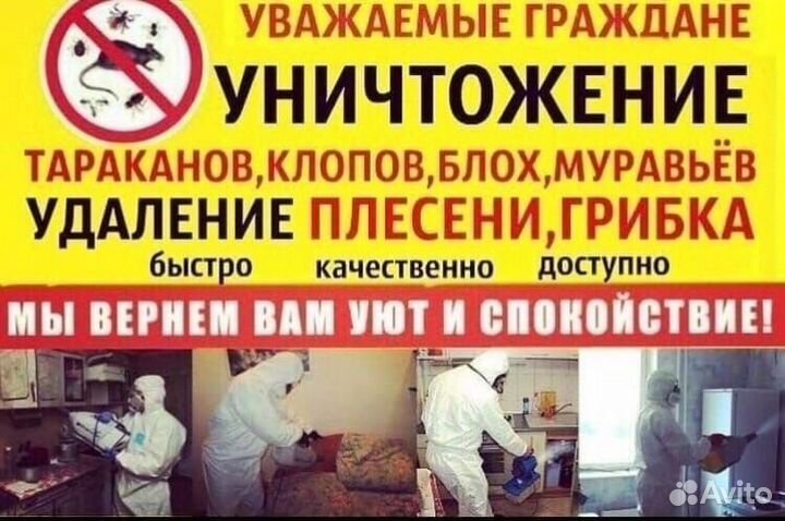 Уничтожение тараканов клопов сэс дезинфекция