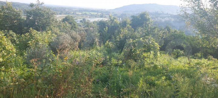 Участок 12 сот. (ИЖС)