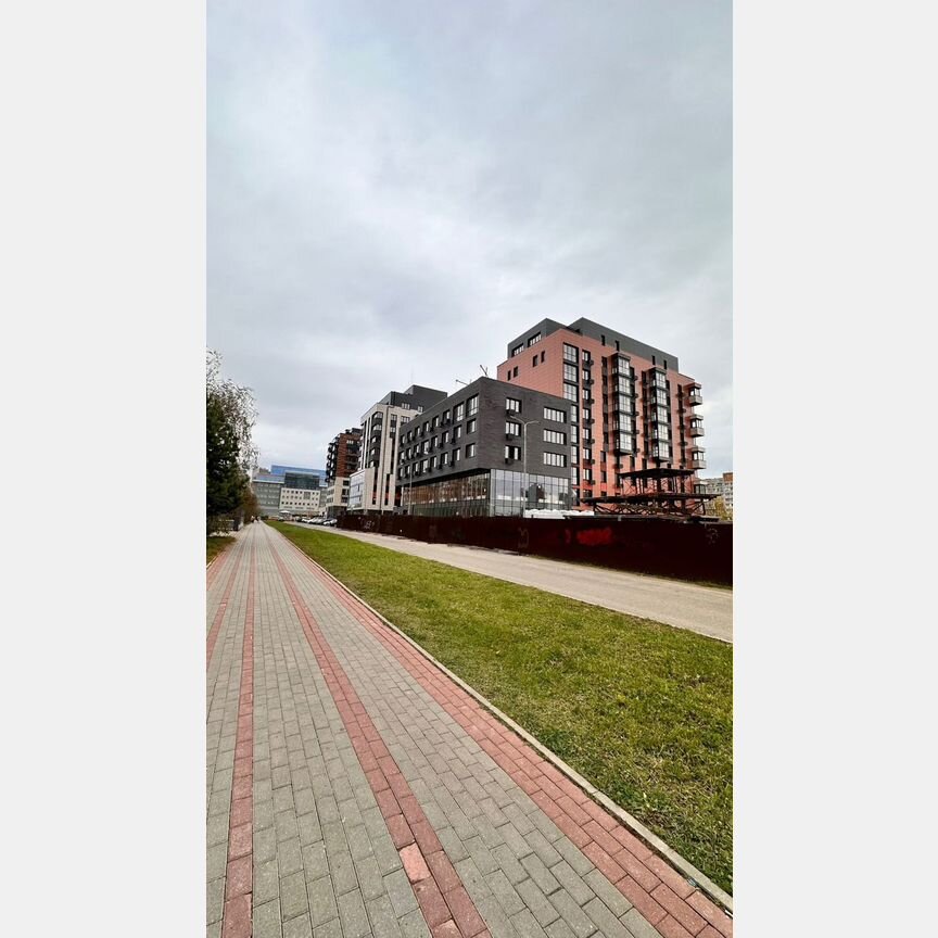 1-к. квартира, 55,6 м², 5/5 эт.