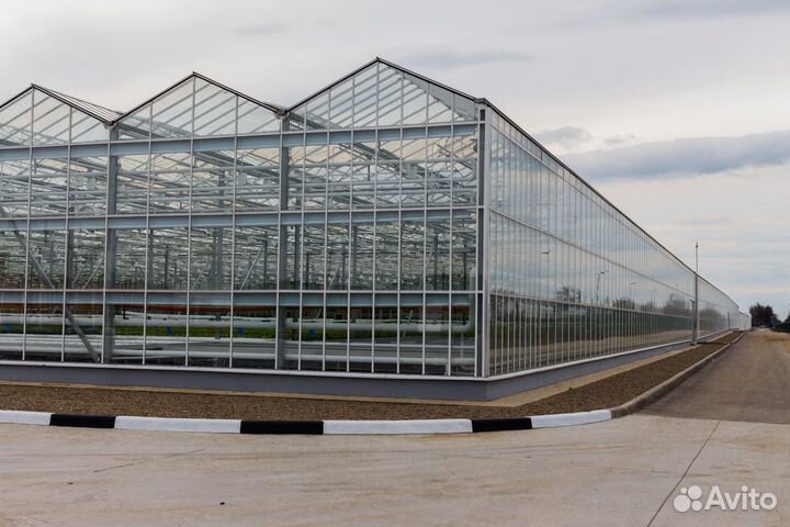 Рентабельный агро бизнес