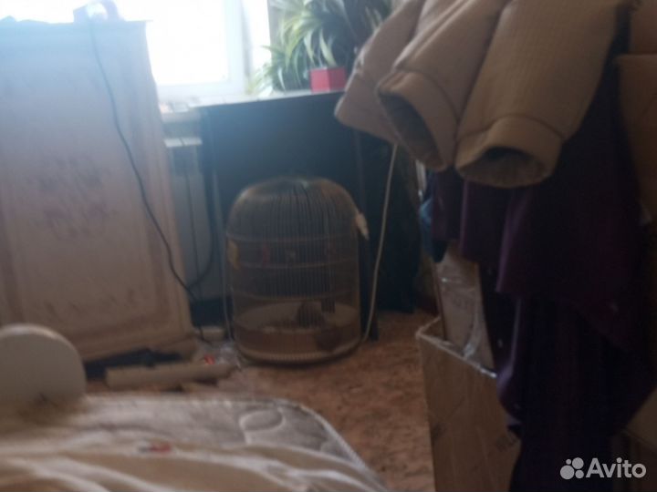 Клетка для попугая большая