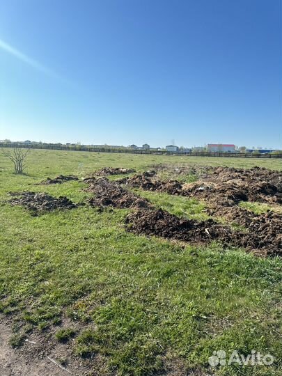 Навоз коровий самовывоз