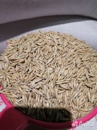 Комбикорма, зерновые