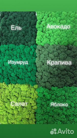 Фито-модуль с ягелем