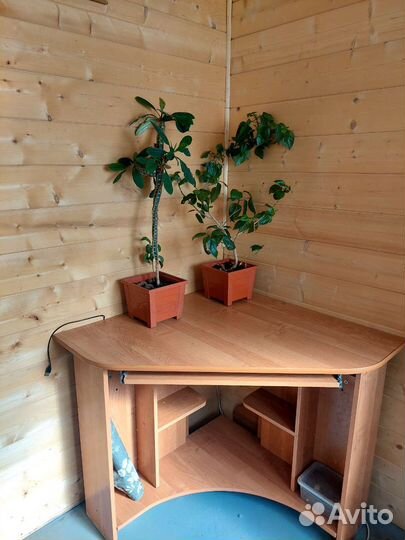 Компьютерный столик бу