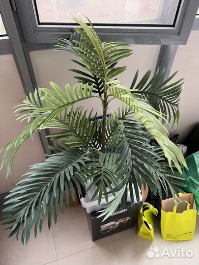 Искусственное растение