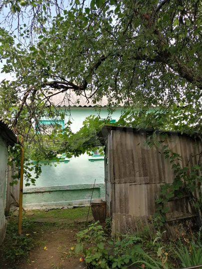 Дом 50 м² на участке 50 сот.