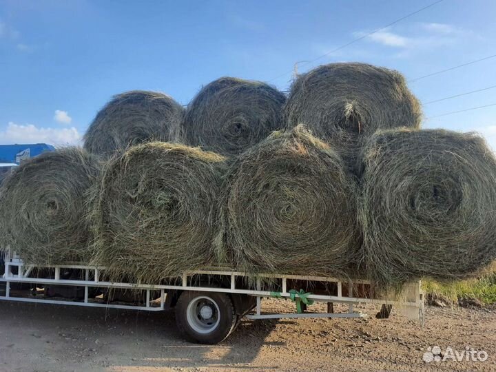 Продам сено 2024г. Разнотравие