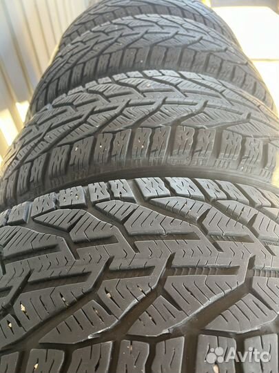 Tigar Winter 215/50 R17 95V